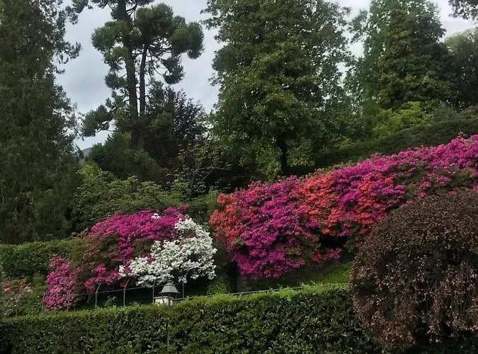 Appartement Casa Ivana *